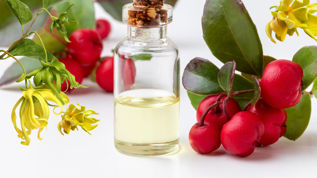 A New Era of Relief Is Coming: Where Scent Meets Recovery